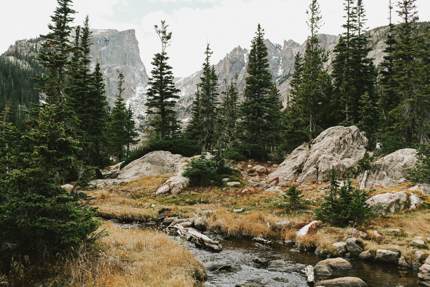Rocky Mountain National Park Engagement
