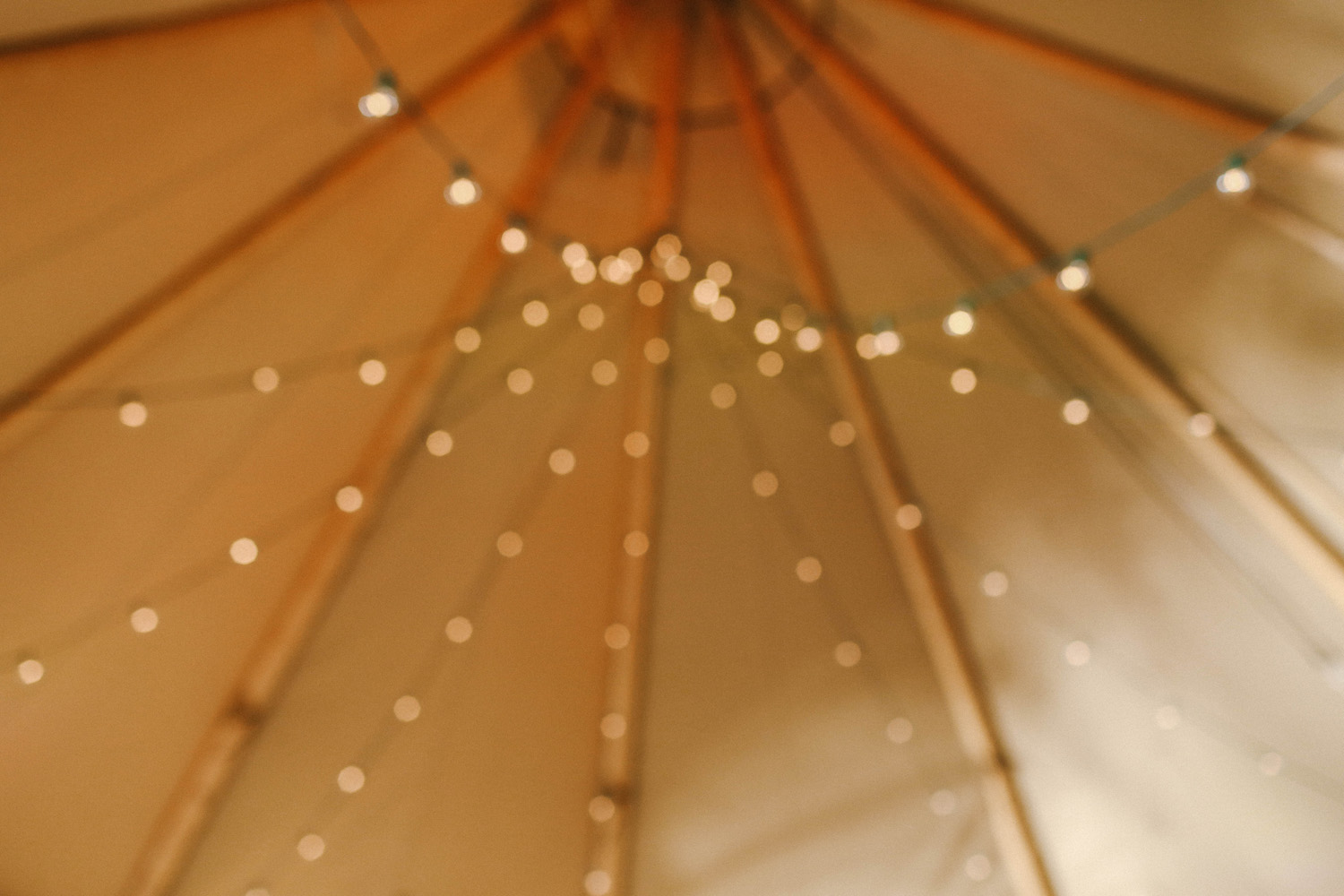 Desert-themed Rehearsal Dinner