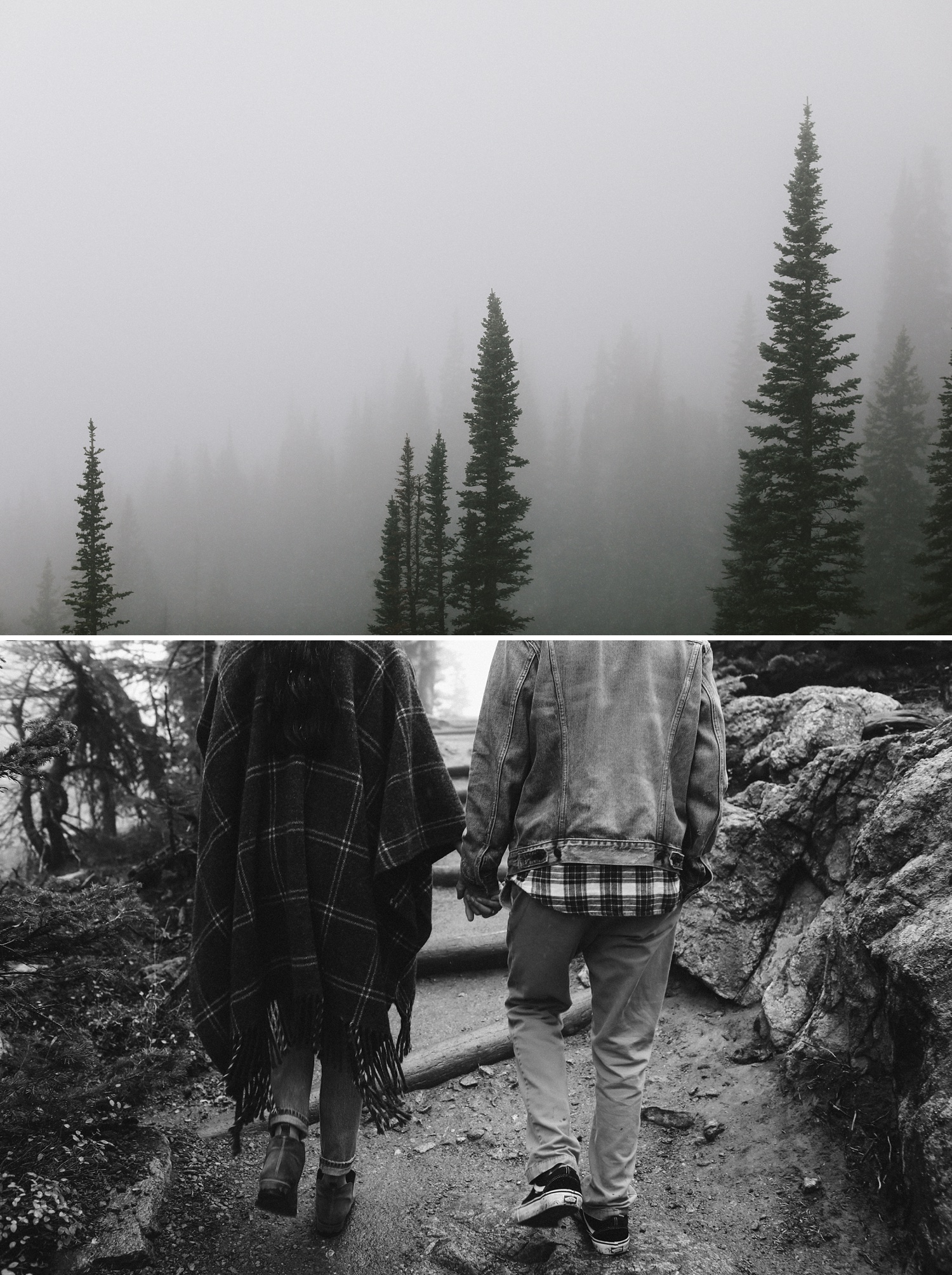 foggy hike in rocky mountain national park